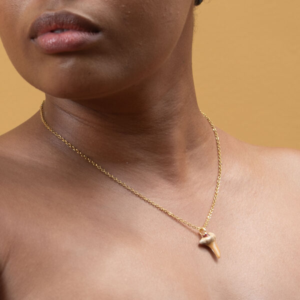 Kukudushi Shark tooth - Image 4