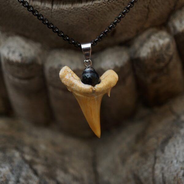 Kukudushi Shark tooth - Image 5