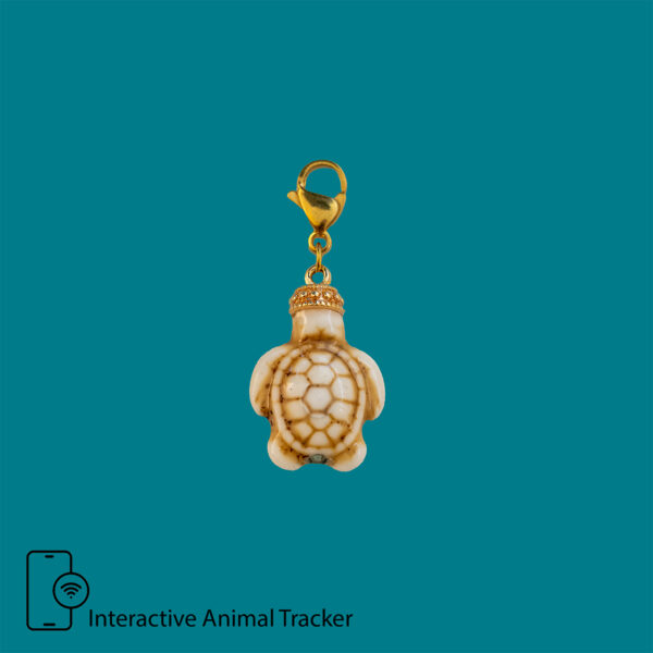 Mini Turtle