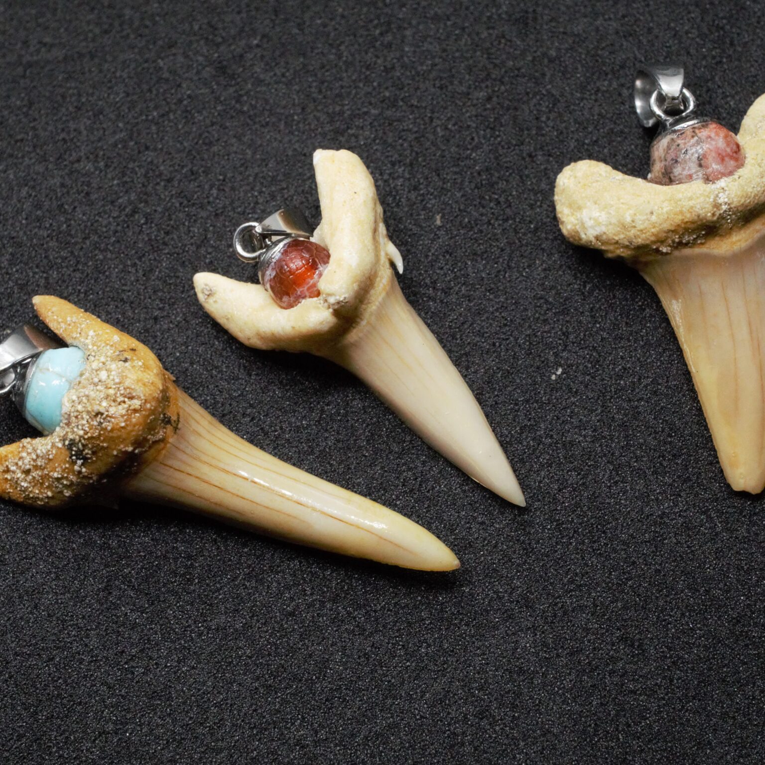 Shark teeth 3-min vierkant