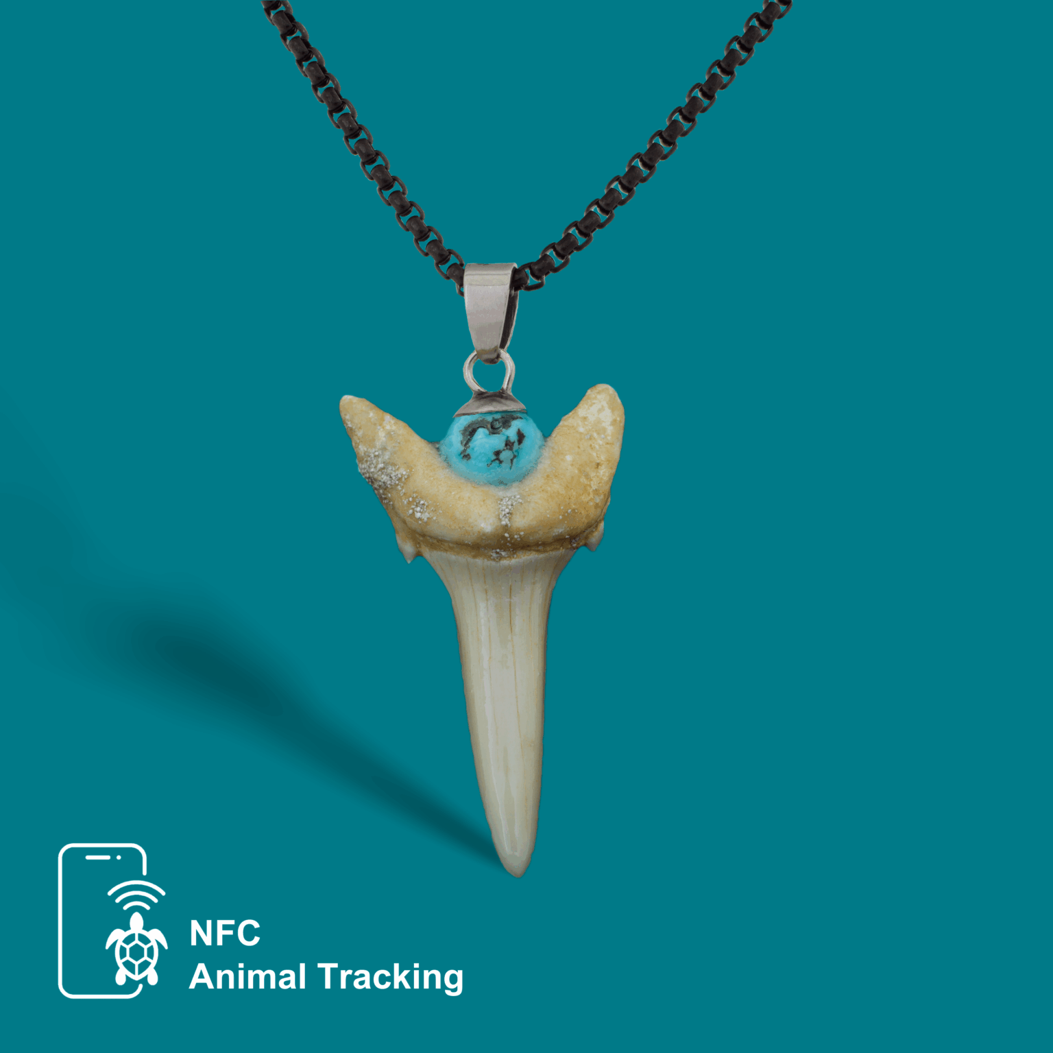 sharktooth emerald-min