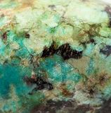 African Turquoise