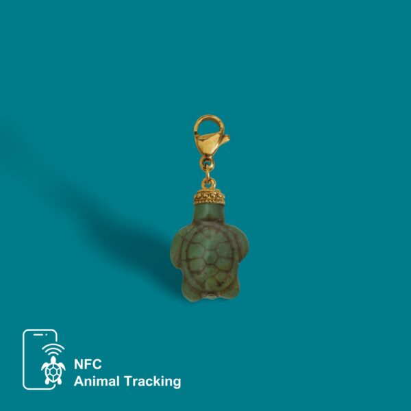 Mini Turtle - Image 3