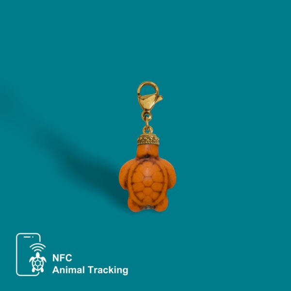 Mini Turtle - Image 4