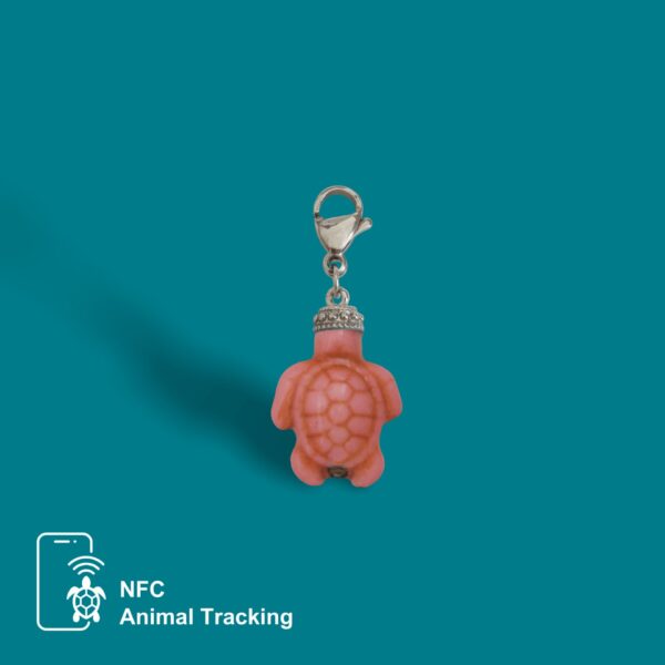 Mini Turtle - Image 5
