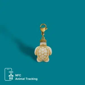 Mini Turtle