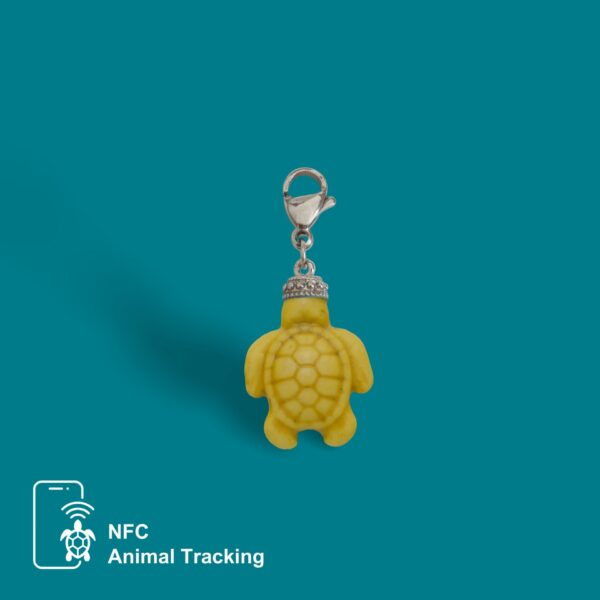 Mini Turtle - Image 8